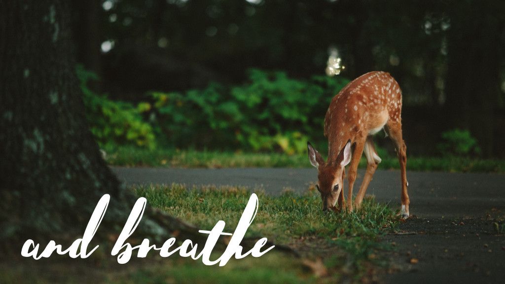 And breathe