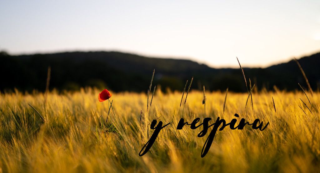 y respira