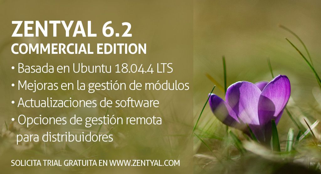 Zentyal Server Commercial Edition 6.2 Publicada